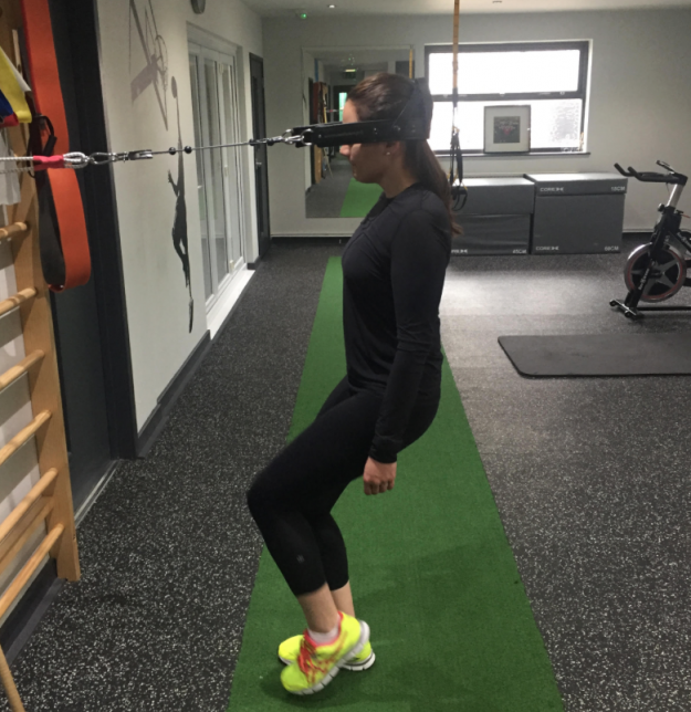 American client Sandra Gomez works with the Gatherer Systems Analyser